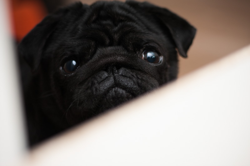 Turron_de_Chocolate_Leyes_de_Cocina-36